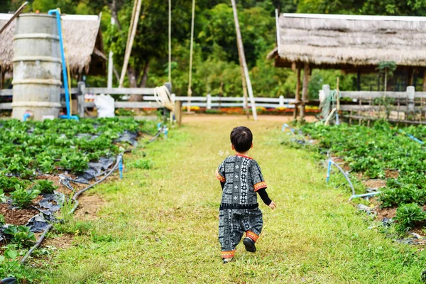Hilltribe kind wandeling in boerderij — Stockfoto