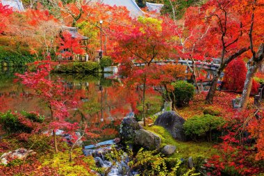 Eikando Bahçe sonbaharda, Kyoto