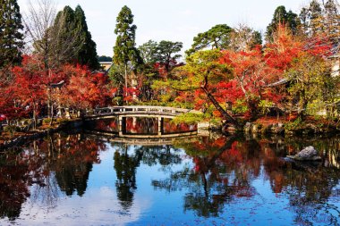 Eikando Tapınağı ile sonbahar renkleri, Kyoto