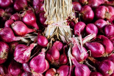 Allium ascalonicum (arpacık) veya kırmızı soğan