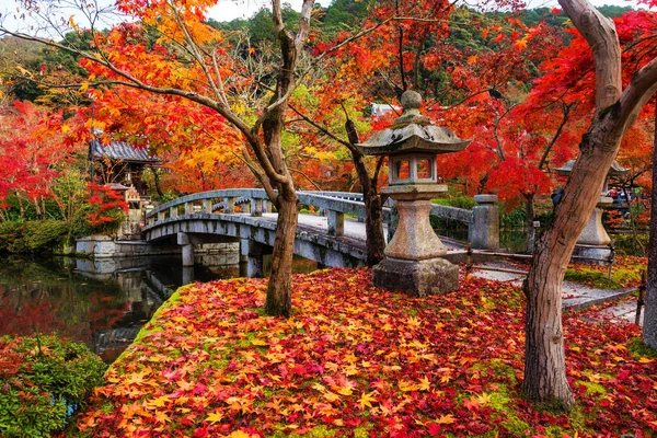 Eikando en otoño, Kyoto — Foto de Stock