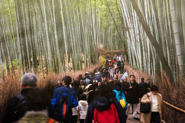 Pessoas visitam bambu arvoredo, Arashiyama — Fotografia de Stock