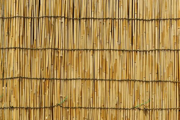 Textured bacground of bamboo wall — Stock Photo, Image