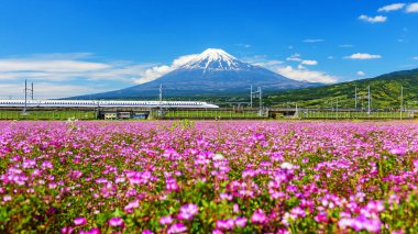 Mt. Fuji manzaralı Shinkanzen
