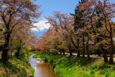 Mt. Fuji ile Oshino Hakkai Köyü