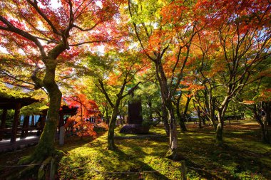 Tofuku-ji Tapınağı, sonbahar yaprakları renkleri, Kuoto