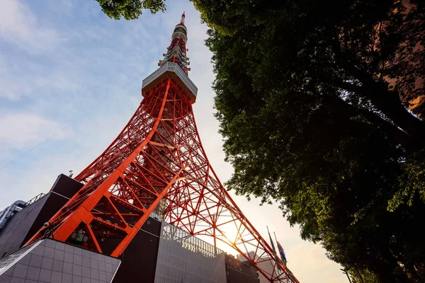 Toyko Tower al tramonto — Foto Stock