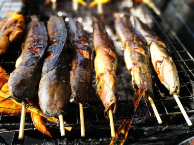 ızgara kavrulmuş catfishs