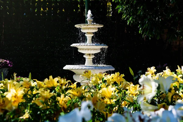 花园里的白色喷泉 — 图库照片