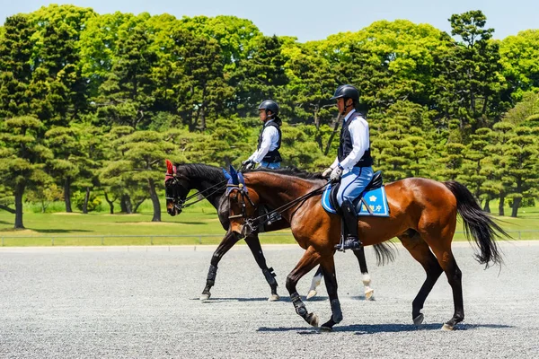 Polícia montar cavalos no palácio imperial, Tóquio — Fotografia de Stock