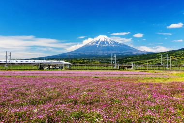 Shinkansen Mt. Fuji ve Shibazakura ile