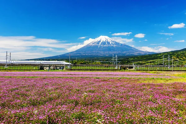 Sinkanszen Mt. Fuji és Shibazakura — Stock Fotó