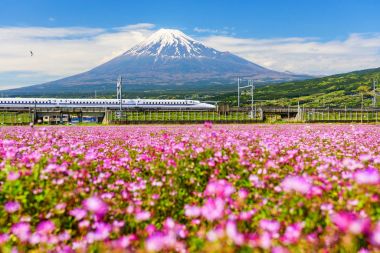 Shinkansen ve Mt. Fujisan