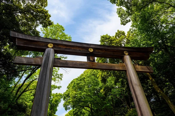 Torii-Tor des Meiji-Schreins, Tokyo — Stockfoto