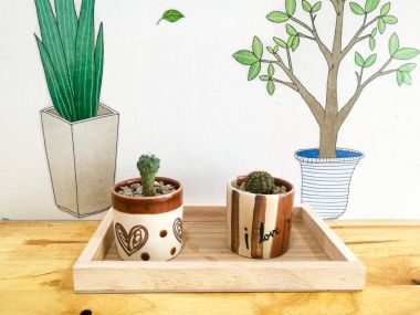  iç dekorasyon için kaktüsler