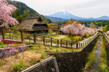 Iyashi mt. Fuji ve sakura yok Sato Köyü