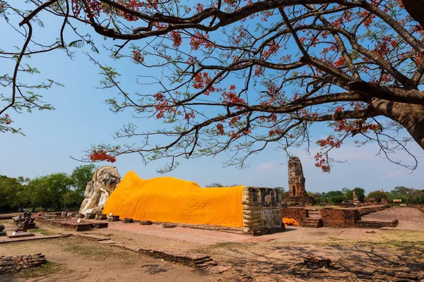 Grand Bouddha incliné avec arbre de printemps, Ayutthaya — Photo