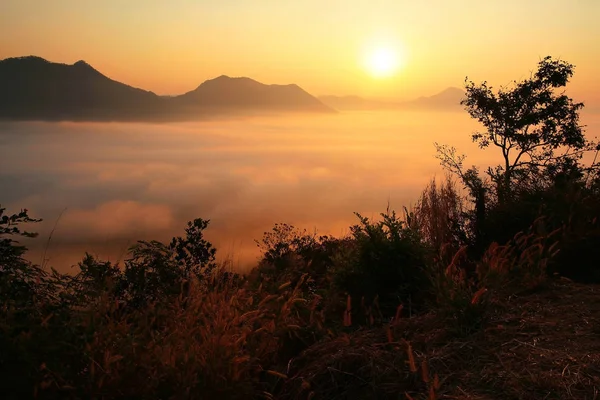 Sonnenaufgang und Nebellandschaften am Phu Tok — Stockfoto