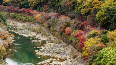 Sonbahar renkleri Sagano'da demiryolu, Arashiyama çevreleyen