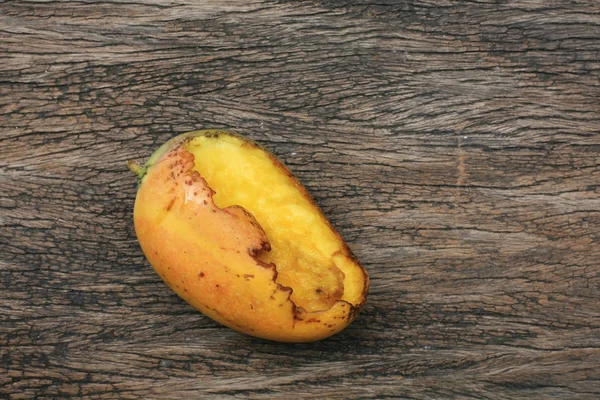 Rotte rijpe Mango gebeten door insecten — Stockfoto