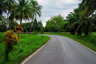 Eğri Road tren uyarı işaretleri