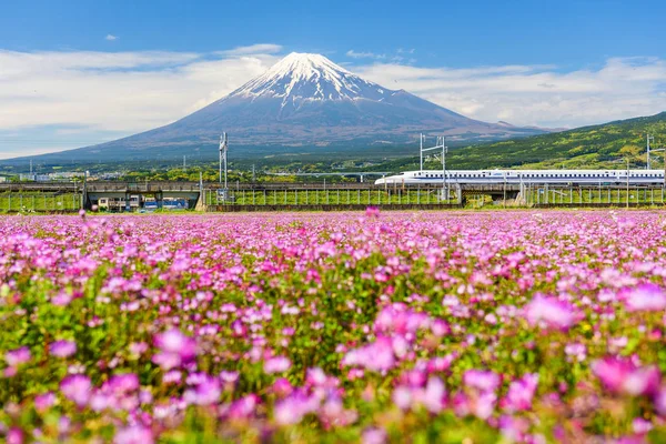 Fuji Dağı ve Shibazakura, Shizuoka Shinkansen