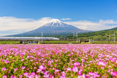 Shinkansen ve araba Mt. Fuji çalıştırmak