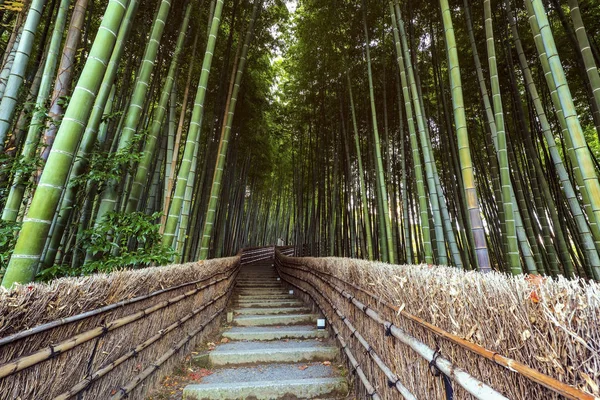 Caminho para a floresta de bambu, Arashiyama , — Fotografia de Stock
