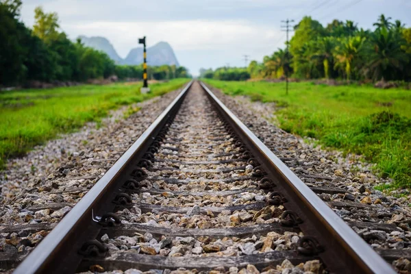 Ferrovia simples em linha reta com vista natural — Fotografia de Stock