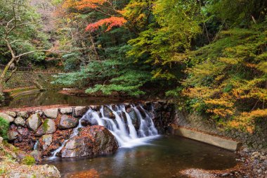 cascade water at autumn around Minoh waterfall