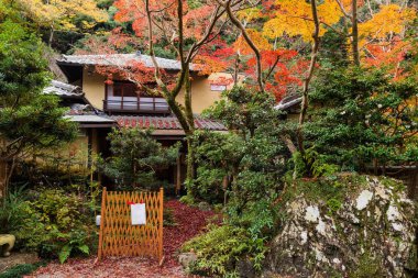 Sonbahar yaprak ile Japon ev