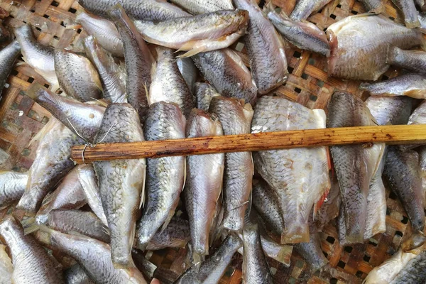 Ikan kecil segar diasinkan di pasar Thailand — Stok Foto