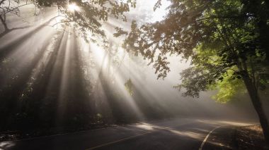 Yol ve orman yoluyla ışınlarının yatay