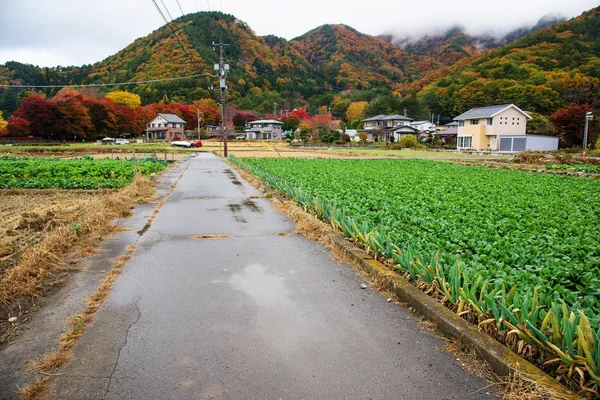 Lokala väg till Kawaguchiko Maple korridor — Stockfoto