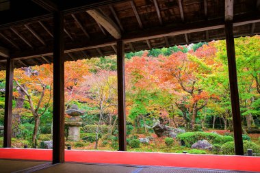 Enkoji Tapınağı ile sonbahar renkleri, Kyoto