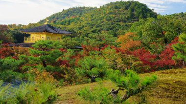Altın köşk üstten görünüm sonbahar, Kyoto