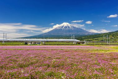 Shinkansen hızlı tren ile Mt. Fuji