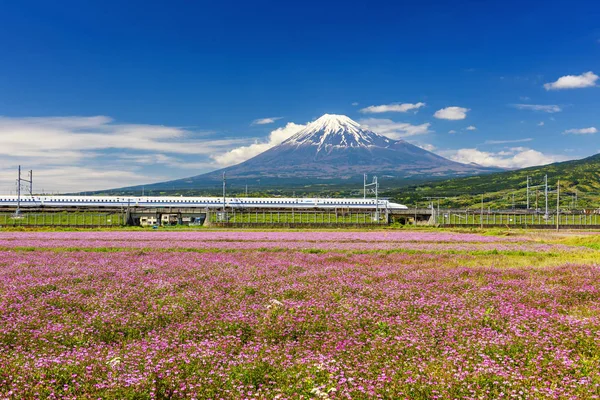 新干线子弹头列车与富士山 — 图库照片