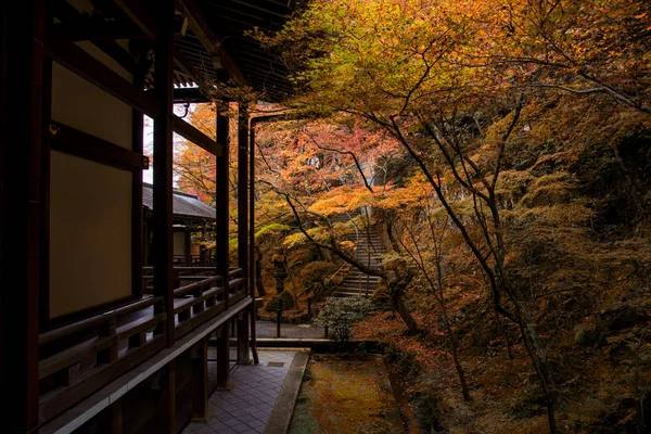 Templo Eikando Zenriji con hoja de otoño, Kioto —  Fotos de Stock