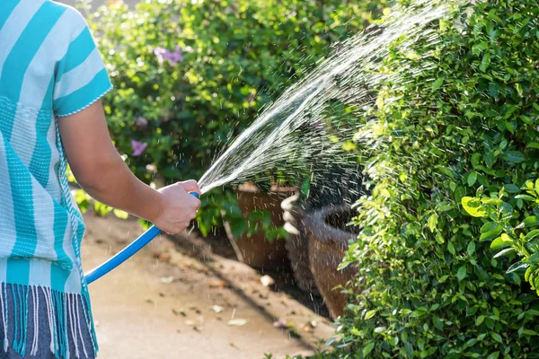 Housemaid spray water to garden — Stock Photo, Image