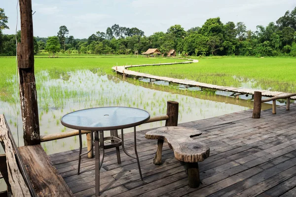 Assento de varanda para ver campo de arroz paddy — Fotografia de Stock