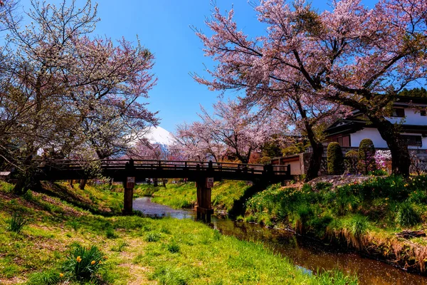 Aldea de Oshino Hakkai y fuji con sakura — Foto de Stock