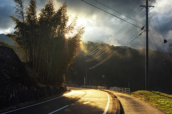 Sonnenaufgang durch steile Straßen und Bambusbäume — Stockfoto