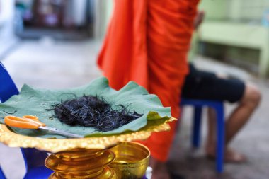 Cut hair for Buddhist ordination  clipart