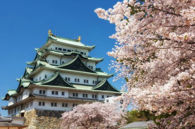 Baharda kiraz çiçekli Nagoya Kalesi