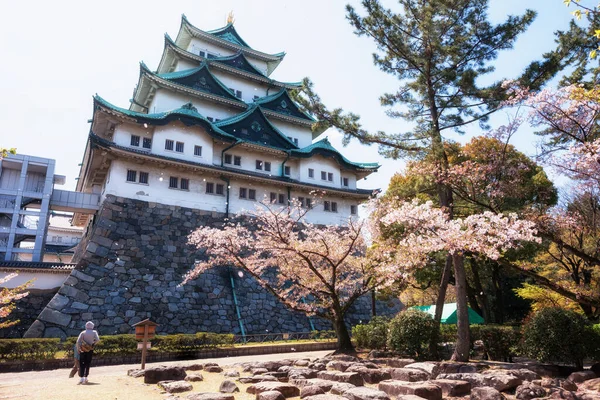 Sakura pétalos volando en el castillo de Nagoya — Foto de Stock