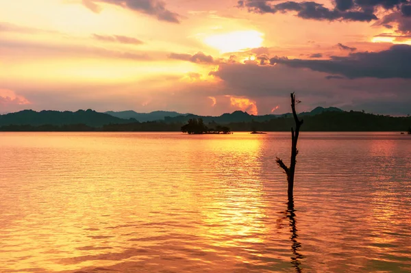 Silhouette Tronc Arbre Dessus Lac Avec Réflexion Lumière Crépusculaire Sur — Photo