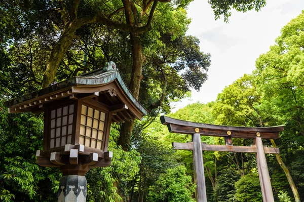 Lâmpada Japonesa Perto Entrada Portão Torii Santuário Meiji Jingu Tóquio — Fotografia de Stock