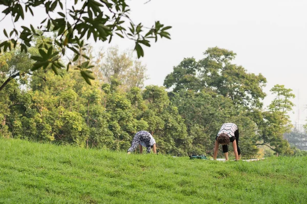 Rentnerin Ältere Asisn Frauen Dehnen Und Yoga Übungen Öffentlichen Park — Stockfoto