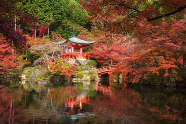 Sonbahar mevsiminde Daigo-ji ya da Daigoji Tapınağı 'nın sonbahar yeşillik renkleriyle süslenmiş hali. Kyoto, Japonya. Momiji mevsiminde Kansai 'nin ünlü simgesi olan tam çiçeklenmiş akçaağaç..